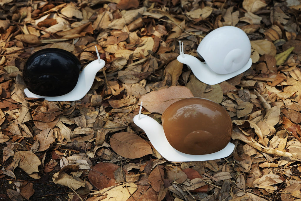 Distributeur de Savon Escargot Qualy