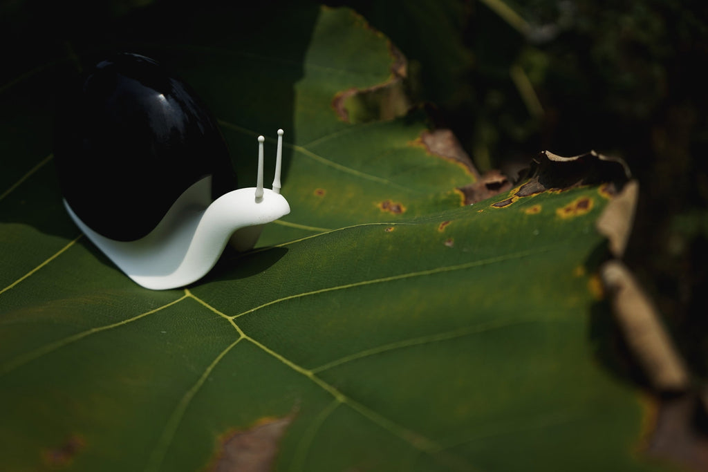 Distributeur de Savon Escargot