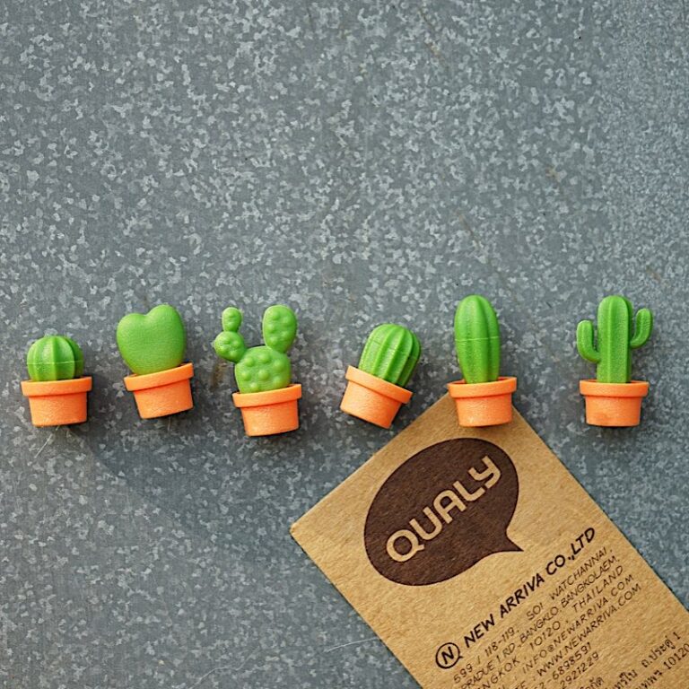 Regalo de diseño – magnets cactus cacnet qualy 