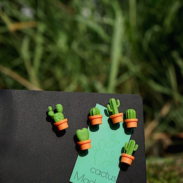 Regalo de diseño – magnets cactus cacnet qualy 