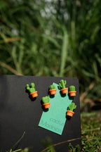 Magneti di cactus