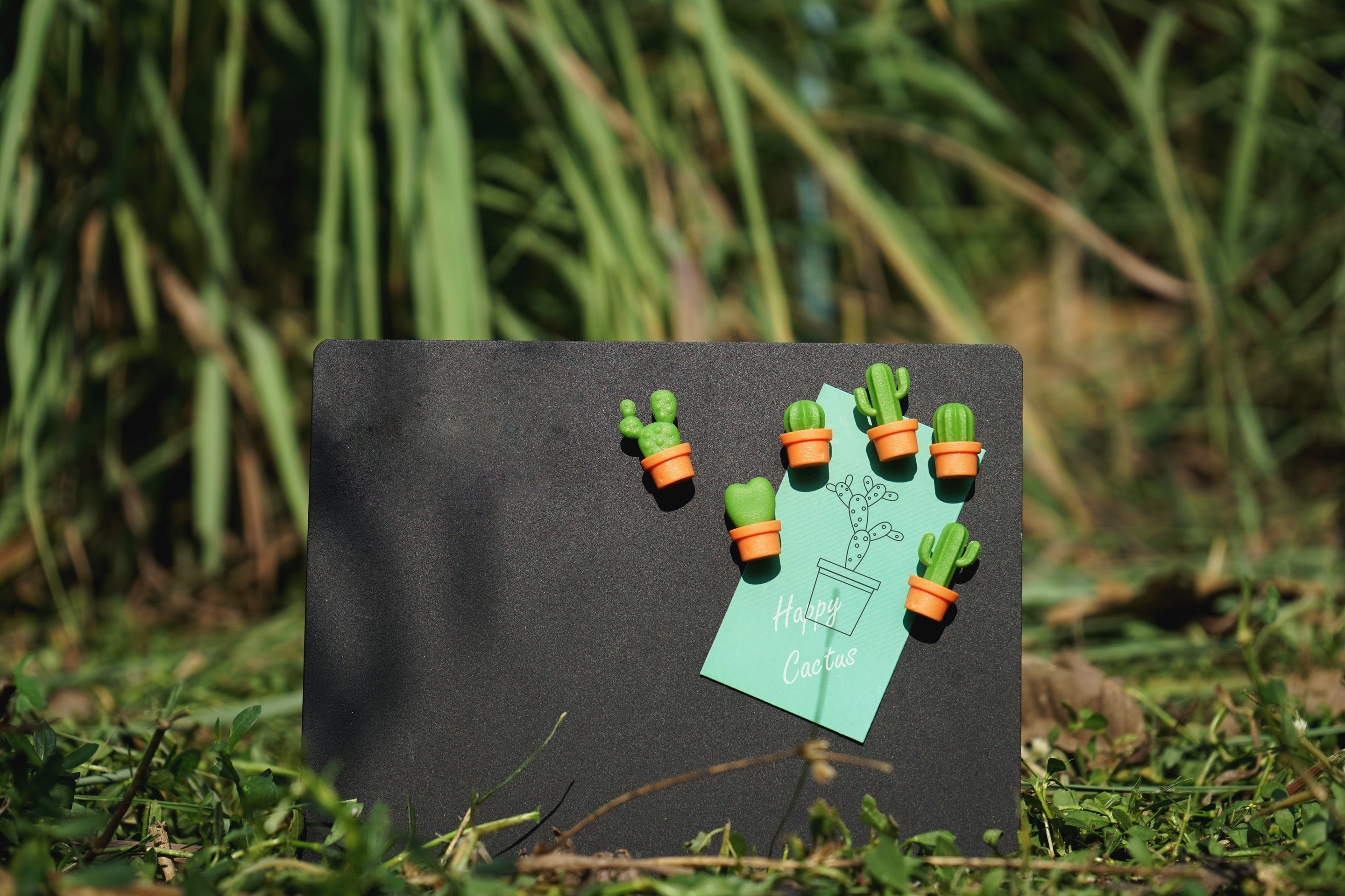Cactus magnets