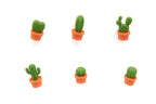 Magneti di cactus