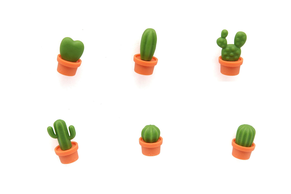 Magneti di cactus