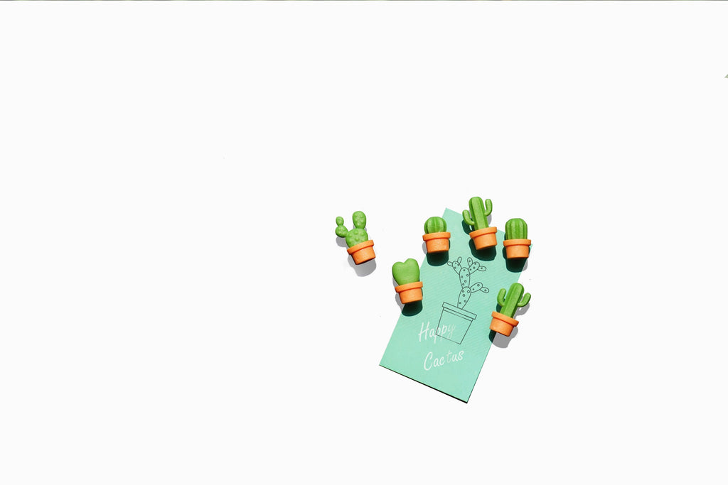 Magneti di cactus