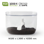 Regalo de diseño – boite lapin qualy 