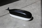 Boite Willy la Baleine