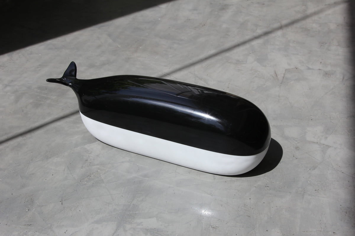 Willy La Baleine Box