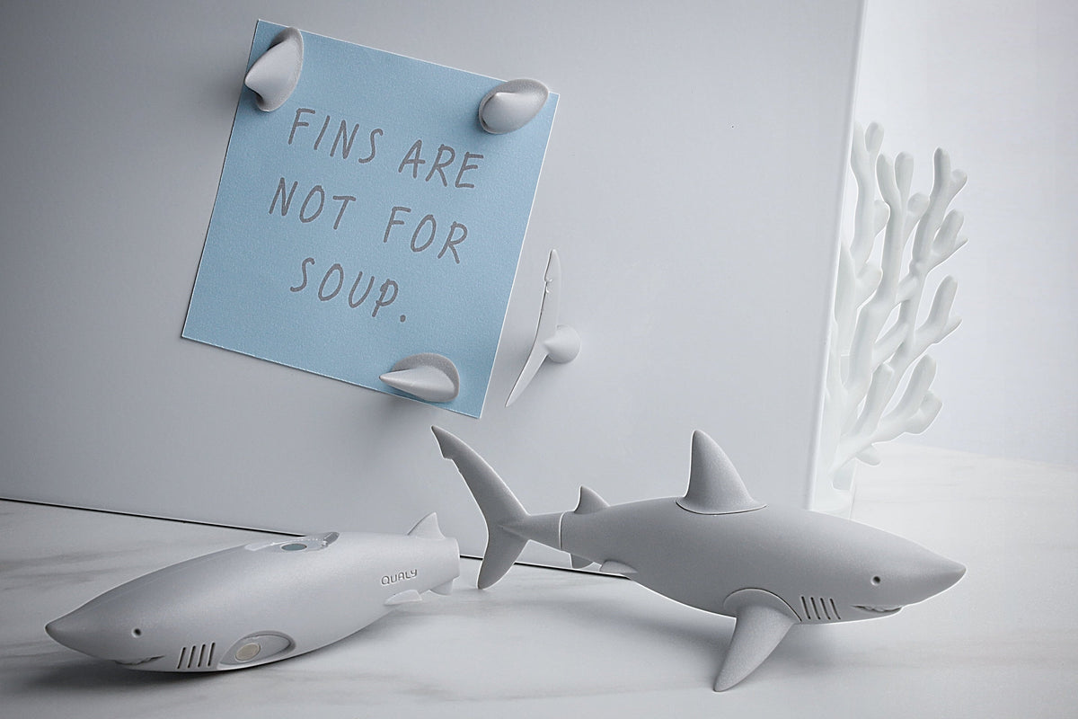 Magnets Requin Qualy