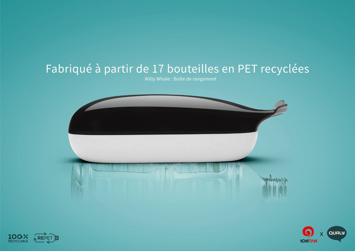 Boite Willy la Baleine
