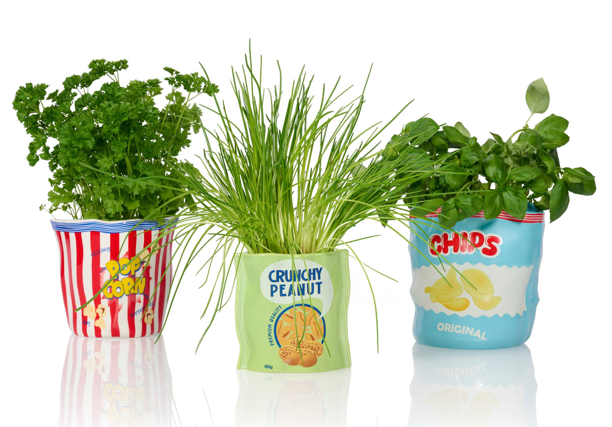 Pot de Fleur Pop-Corn en Céramique – Bitten