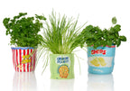Pot de Fleur Pop-Corn en Céramique