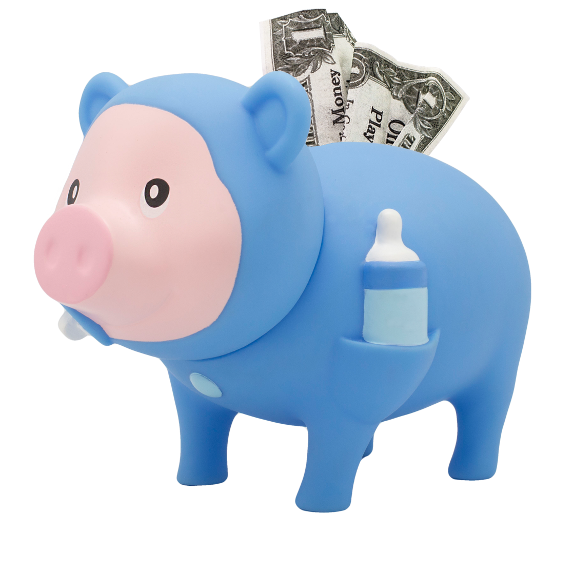 Blue Baby Boy Pig