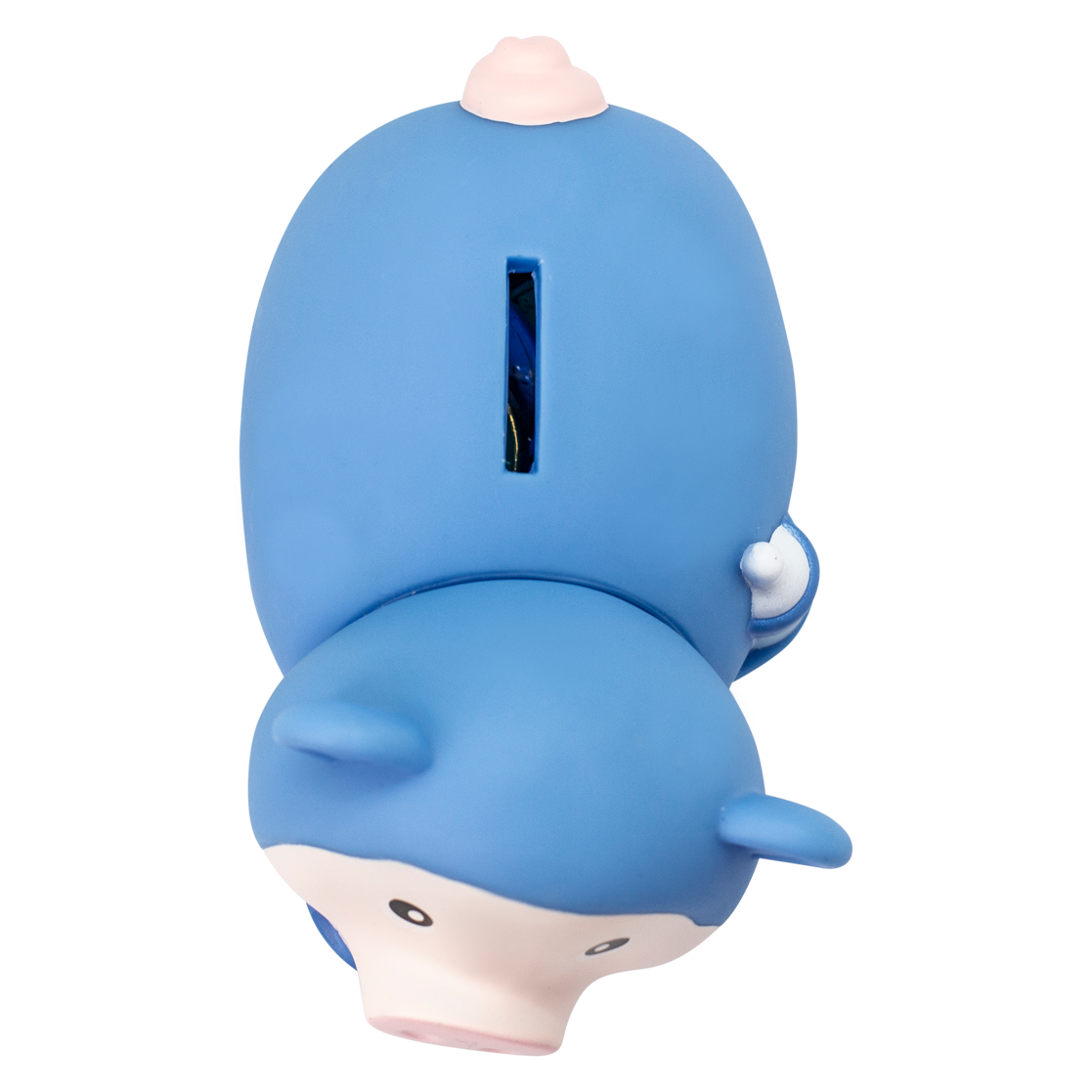 Blue Baby Boy Pig