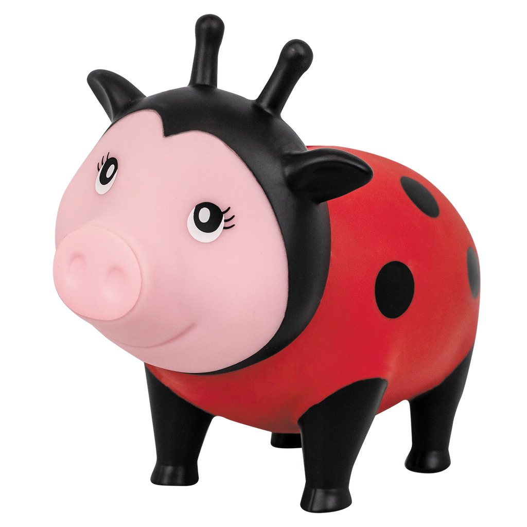 Schwein Marienkäfer