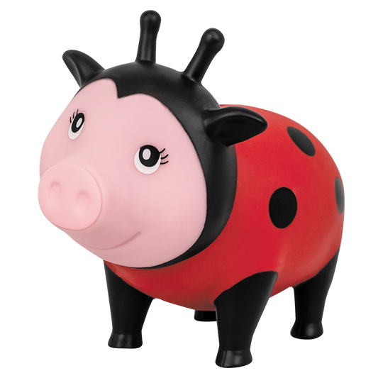 Pig Ladybug