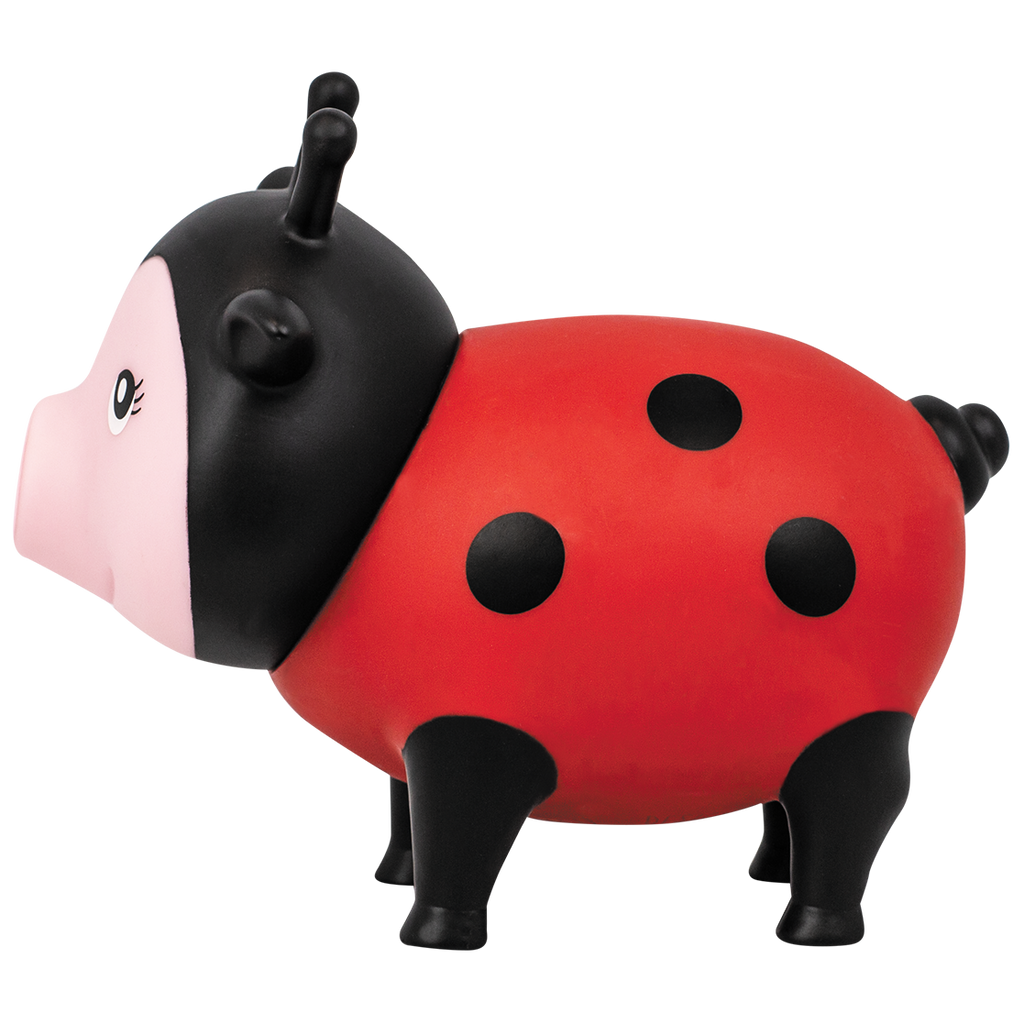 Schwein Marienkäfer
