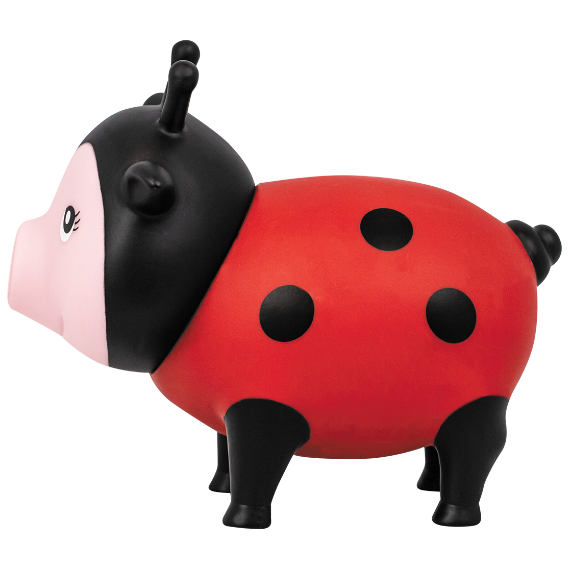 Schwein Marienkäfer