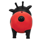 Schwein Marienkäfer