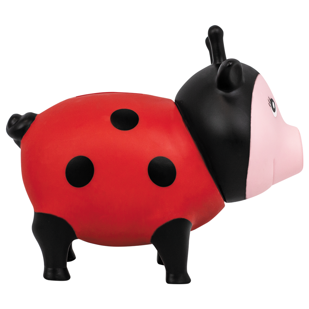 Schwein Marienkäfer