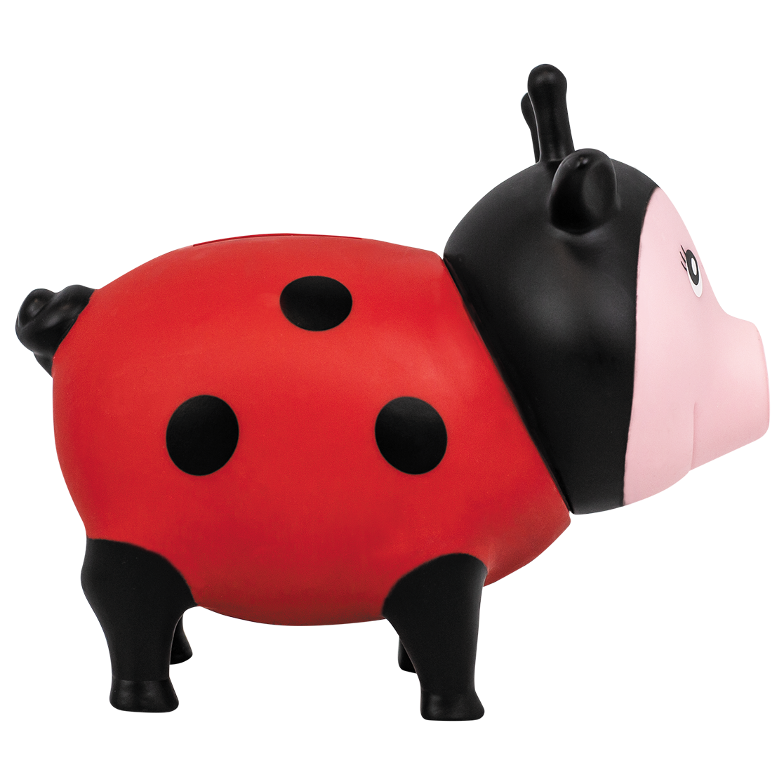 Schwein Marienkäfer