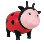 Schwein Marienkäfer