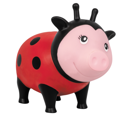 Pig Ladybug