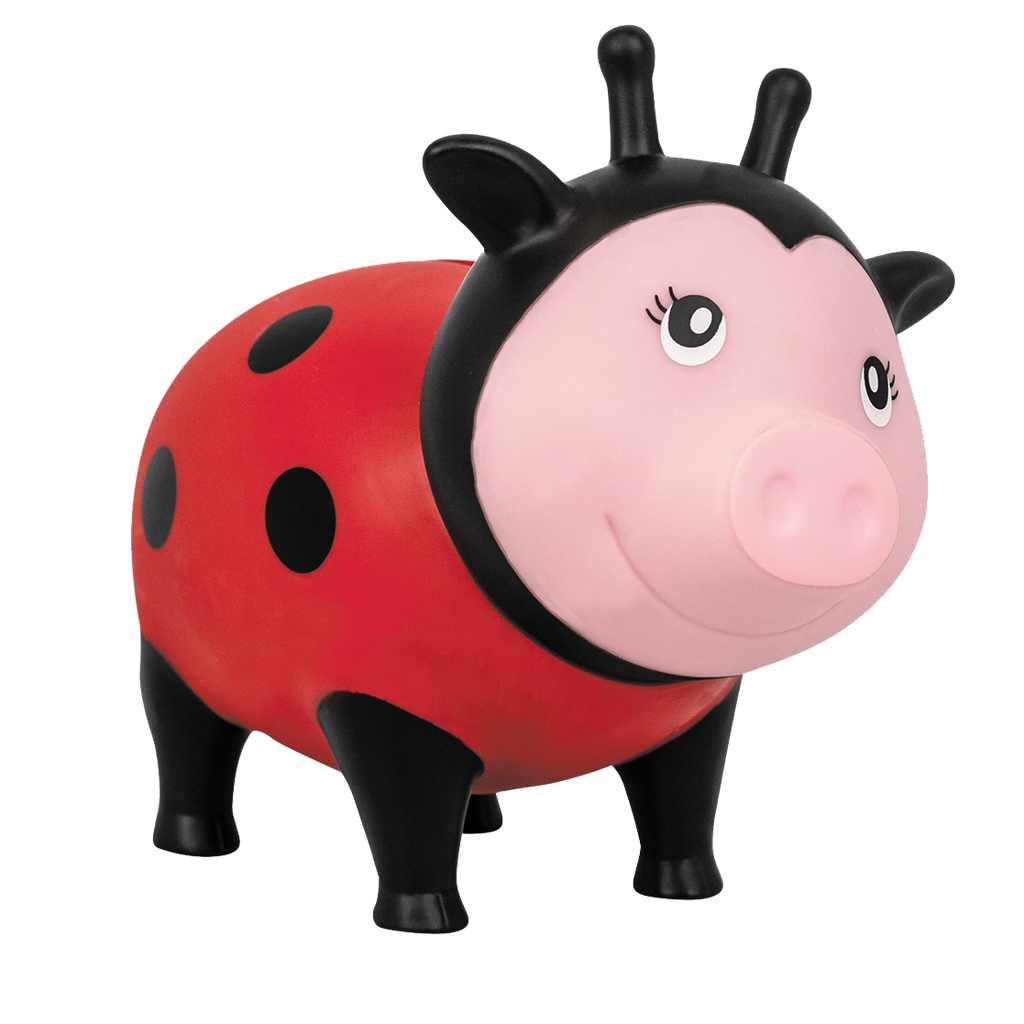 Schwein Marienkäfer