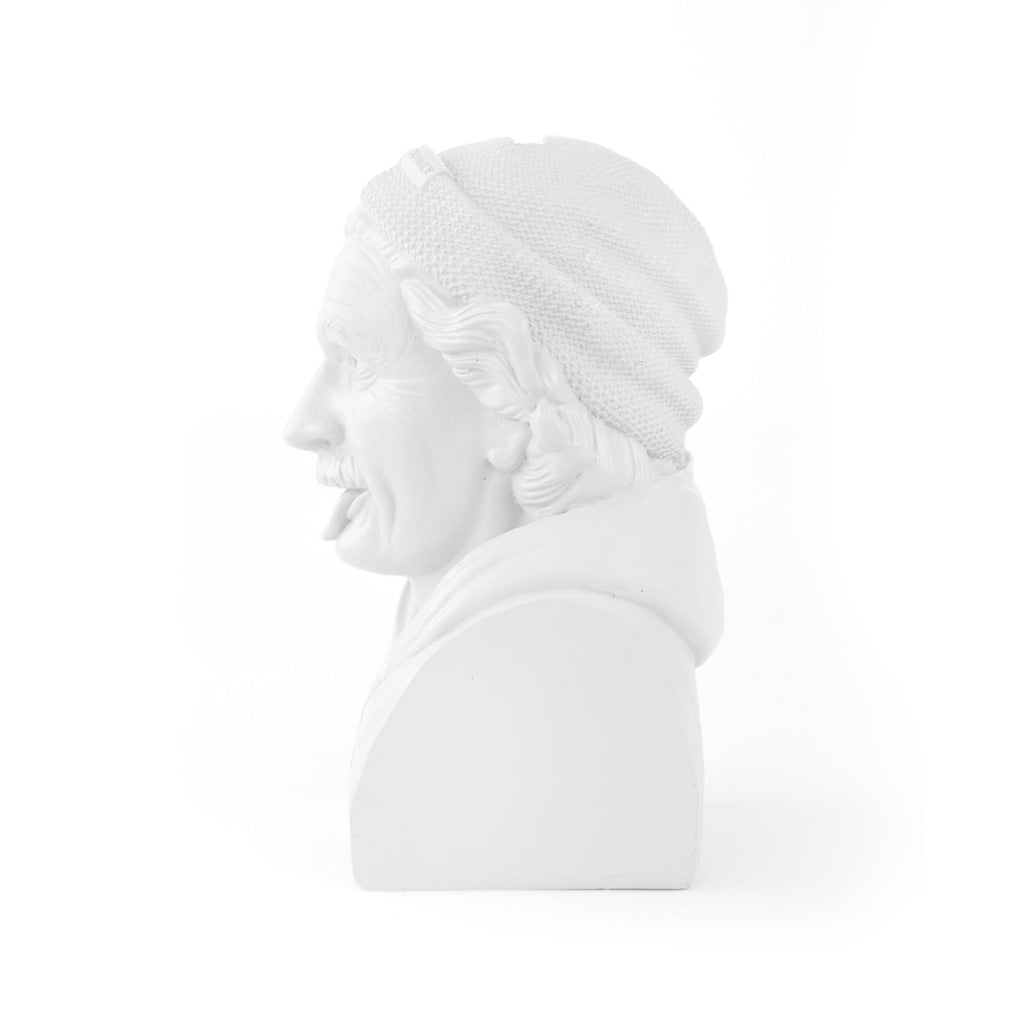 Einstein Sparschwein - Historischer Hipster