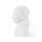 Einstein Sparschwein - Historischer Hipster