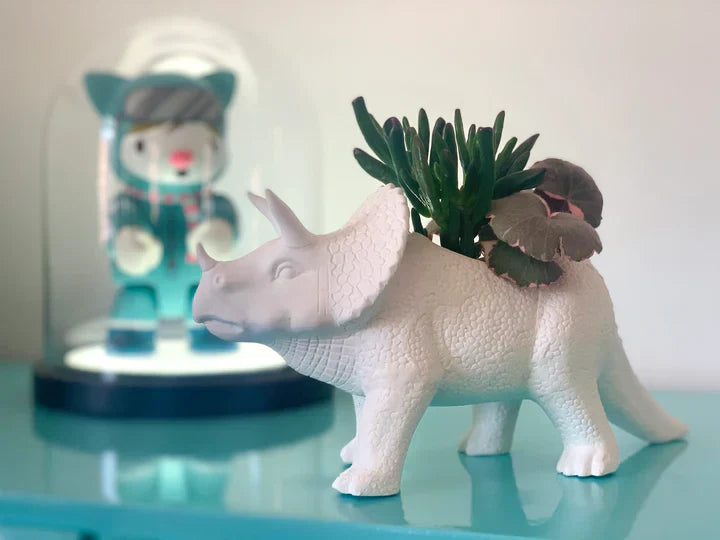 Regalo de diseño – pot dinosaure tricerapot bitten 