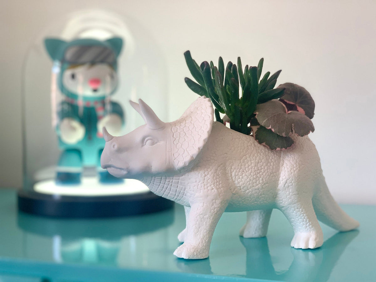 Pot de Fleur Dinosaure Tricérapot – Bitten