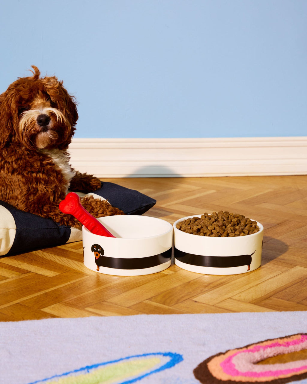 Gamelle Teckel (Fluid Market x Thomas Gravereau)