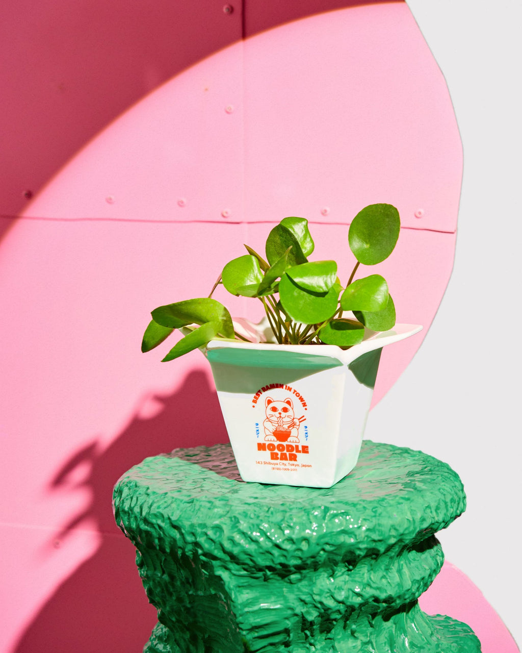 Cache pot / Vase Ramen