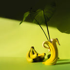 Vaso romantico di banane