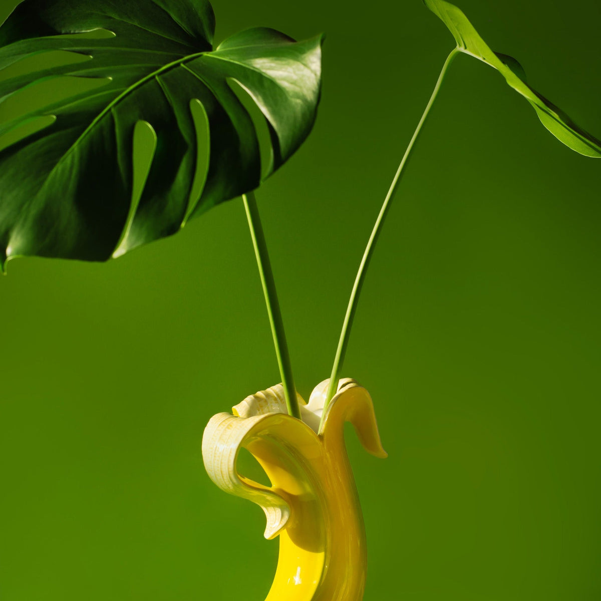 Vaso romantico di banane