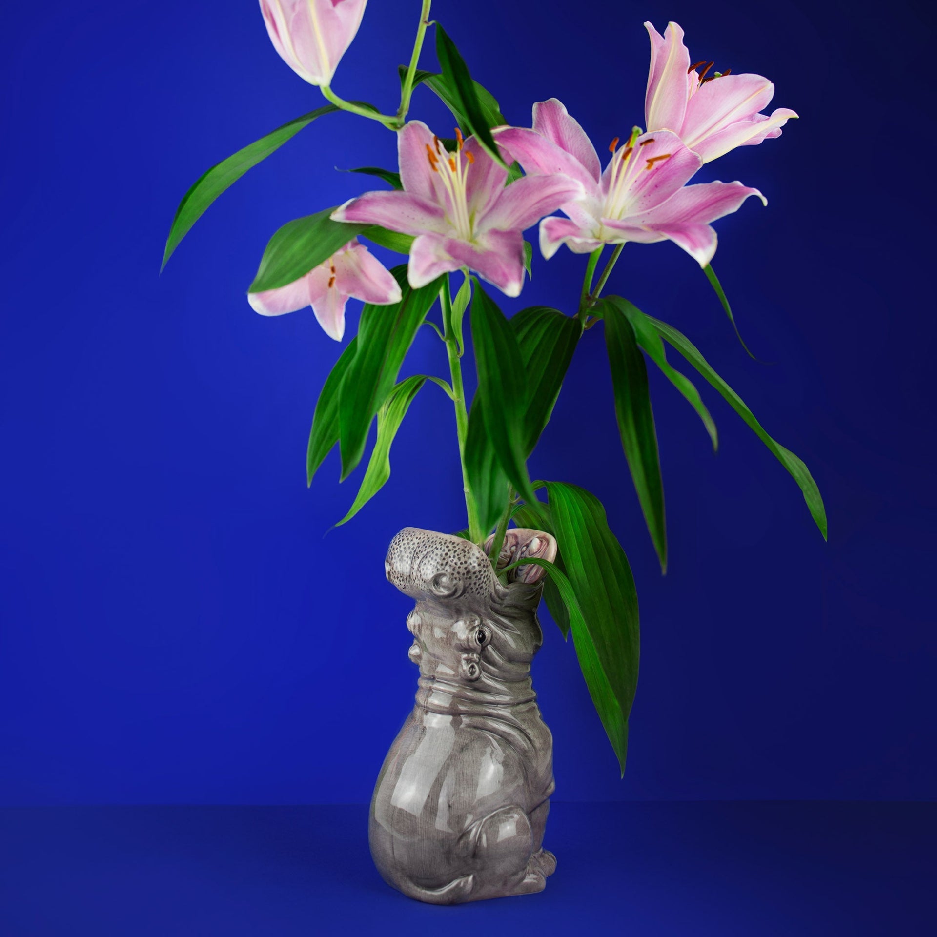 Vaso di ippopotamo Ippopotami affamati