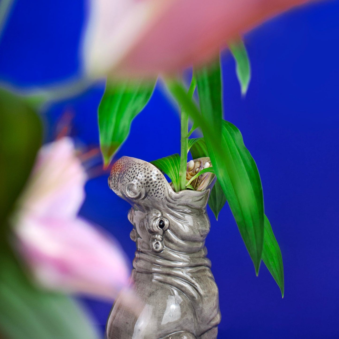 Hippopotamus Vase Hungry Hippos