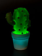 | Boutique veilleuses enfant)