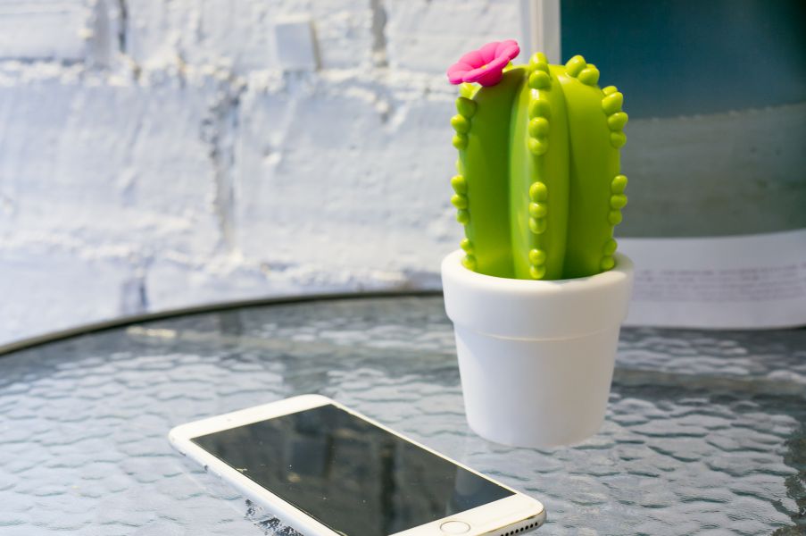 Oggetto regalo di design – veilleuse cactus fleur dhink 