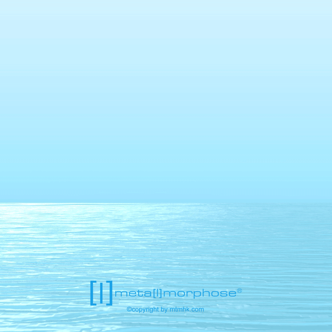 Delphin-Schlüsselanhänger