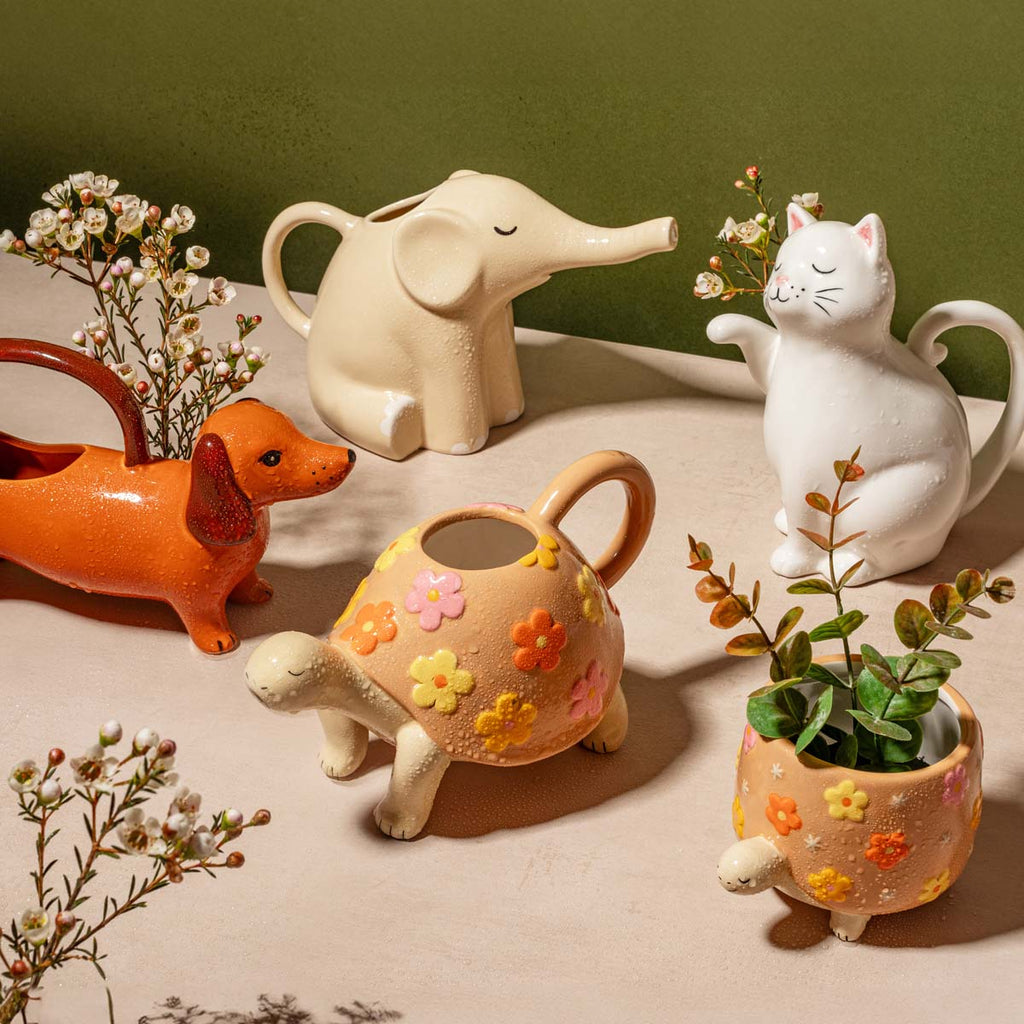 Gießkanne Katze