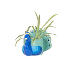 Mini-Pflanzgefäß Pfau