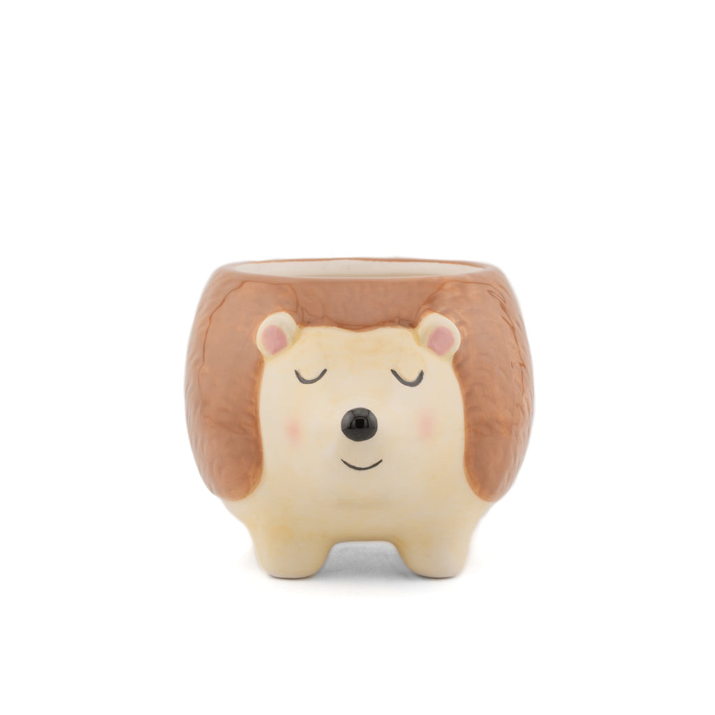 Hedgehog planter