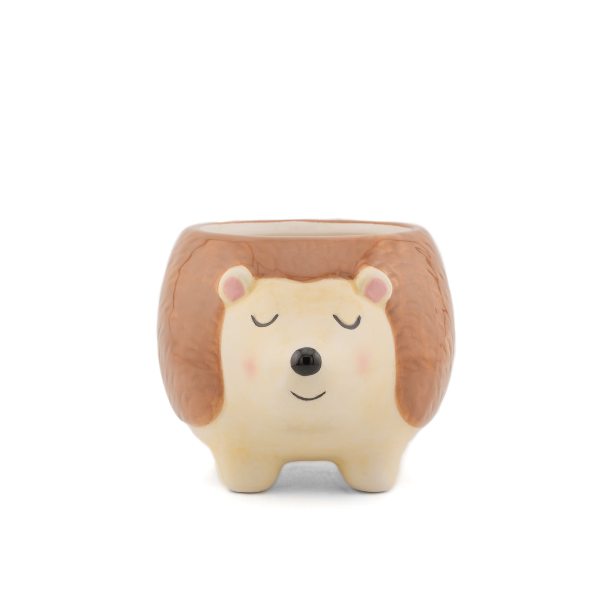 Hedgehog planter