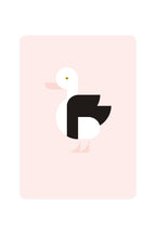 Carte postale avec Radjah Duck
