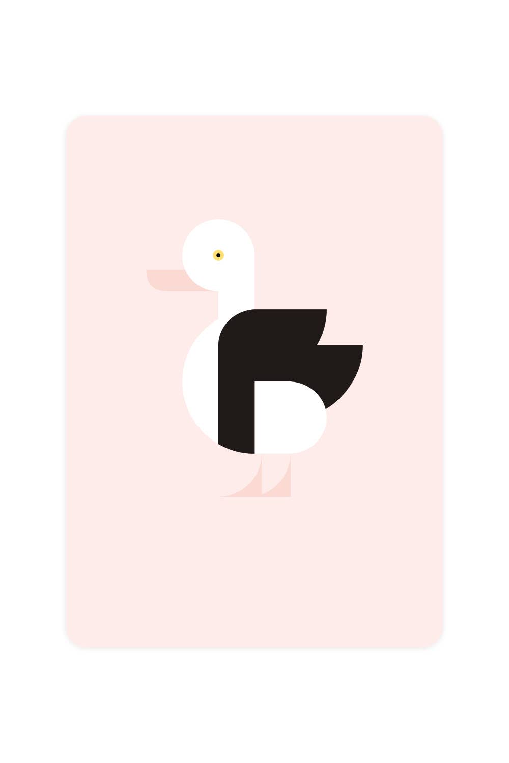 Carte postale avec Radjah Duck