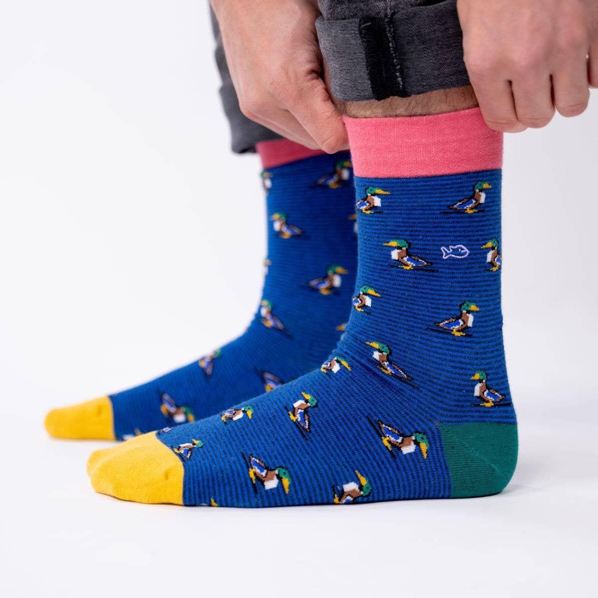 Chaussettes en coton peigné animaux - Canard Colvert