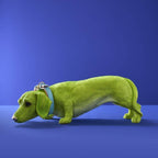 Chien Teckel Wilfried M. Collier, Résine poly verte