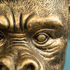 Tête de singe Kong, or